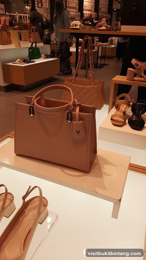 Handbags and Shoes Display