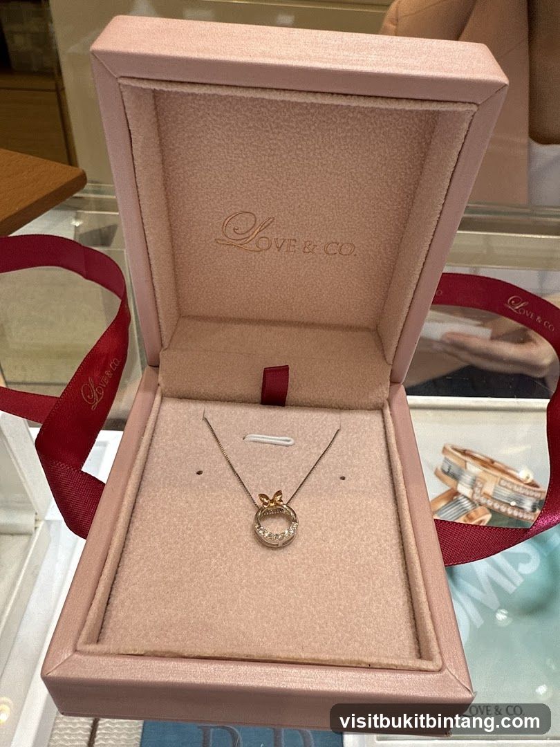 Jewelry Box with Necklace