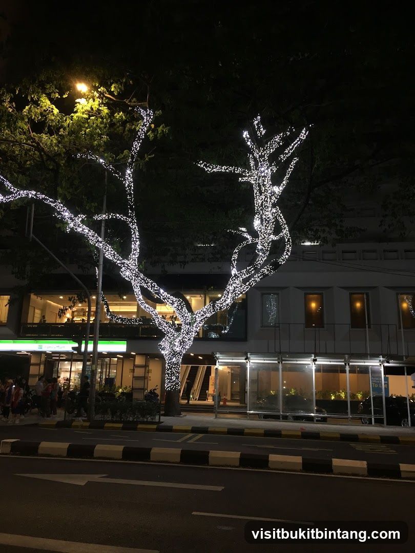 Tree decorated with lights at night