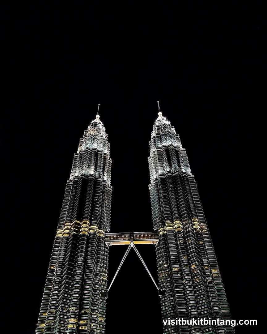 Petronas Towers at Night
