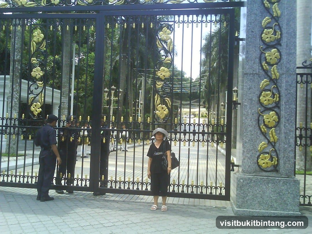 Ornate Gate with Guards and Visitor