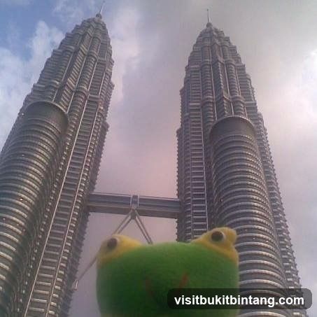 Petronas Towers with a frog toy