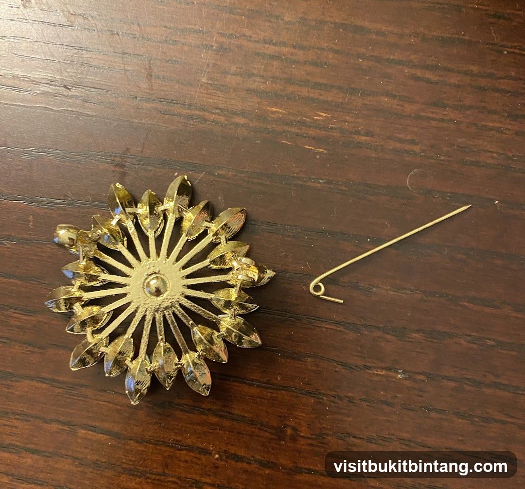 Broken Brooch