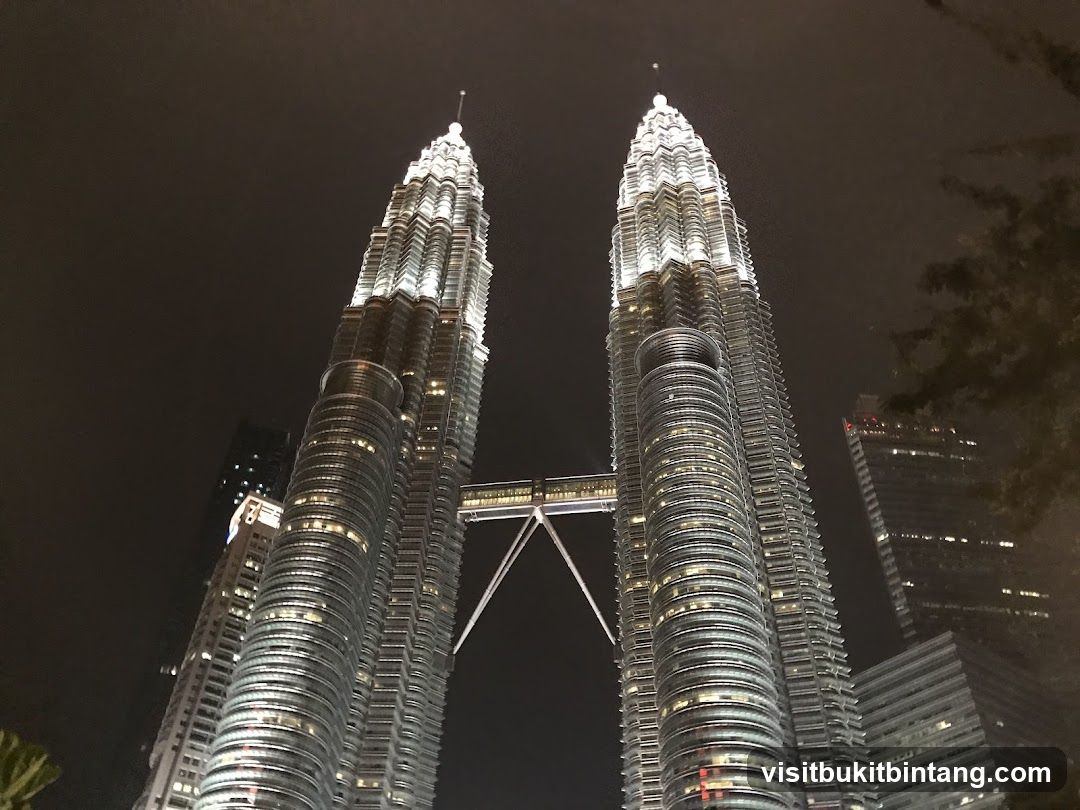 Petronas Towers at Night