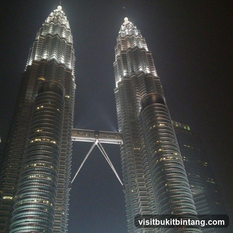 Petronas Towers at Night