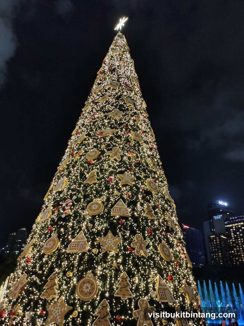 Decorated Christmas Tree at Night