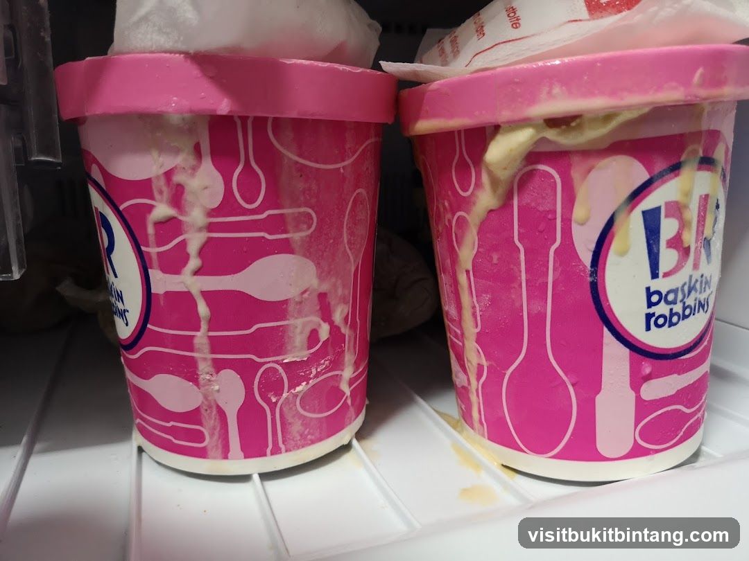 Baskin Robbins Ice Cream Containers
