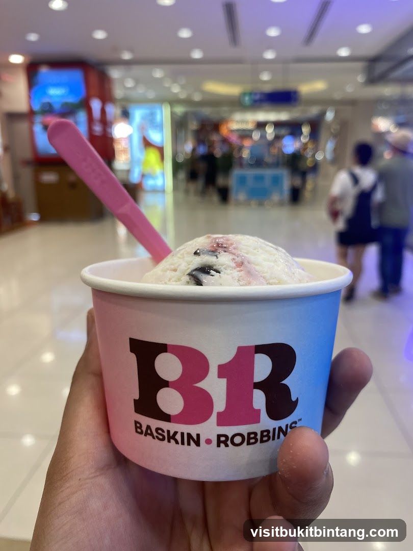 Baskin Robbins Ice Cream Cup