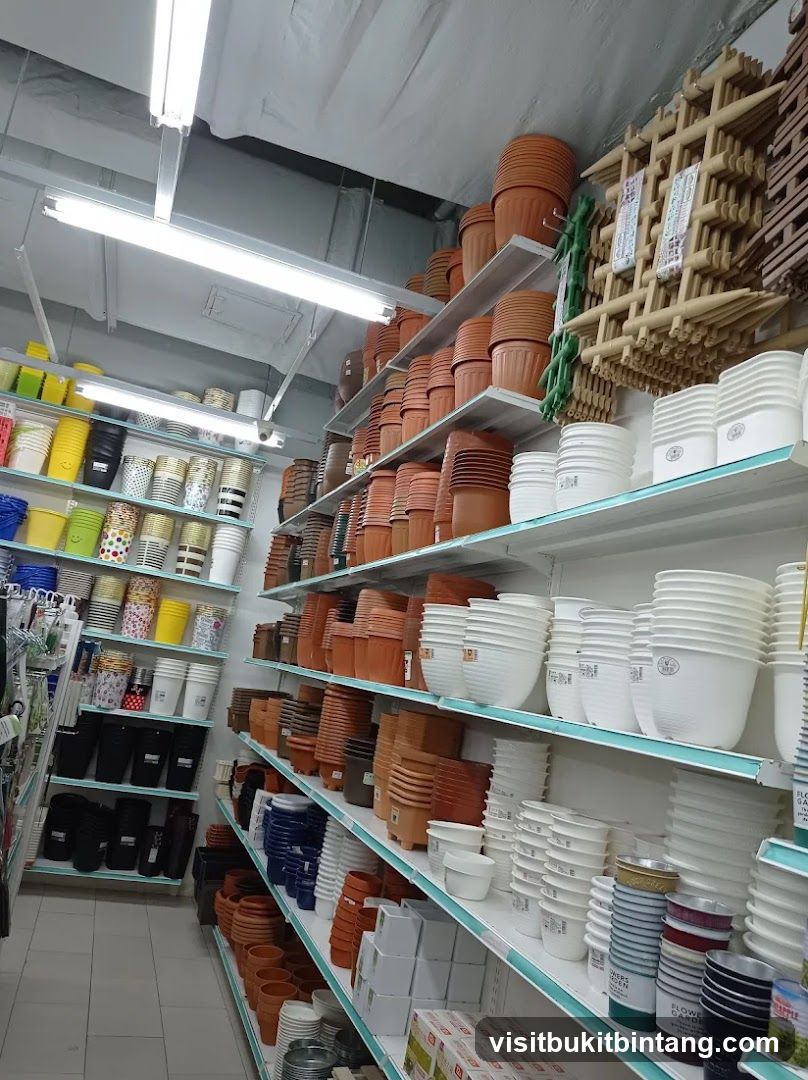 Plant Pots and Containers