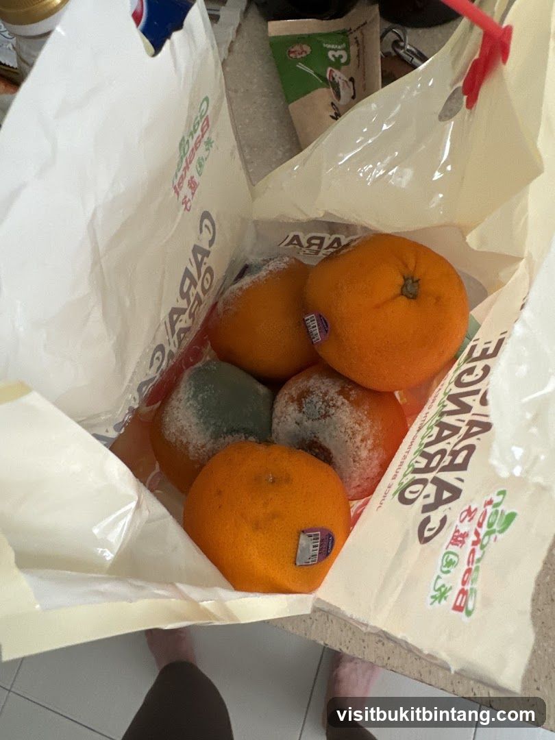 Bag of Oranges