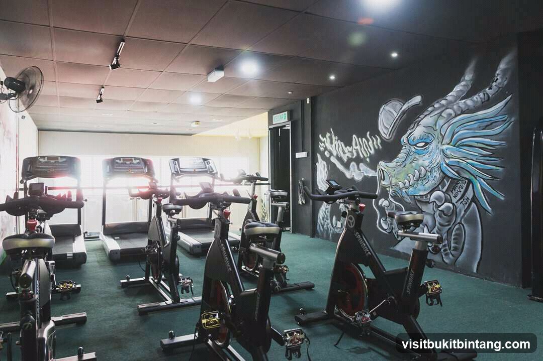 Gym Interior with Exercise Equipment and Dragon Mural
