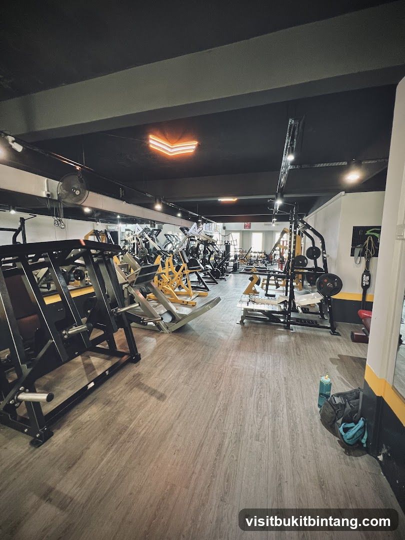 Gym Interior