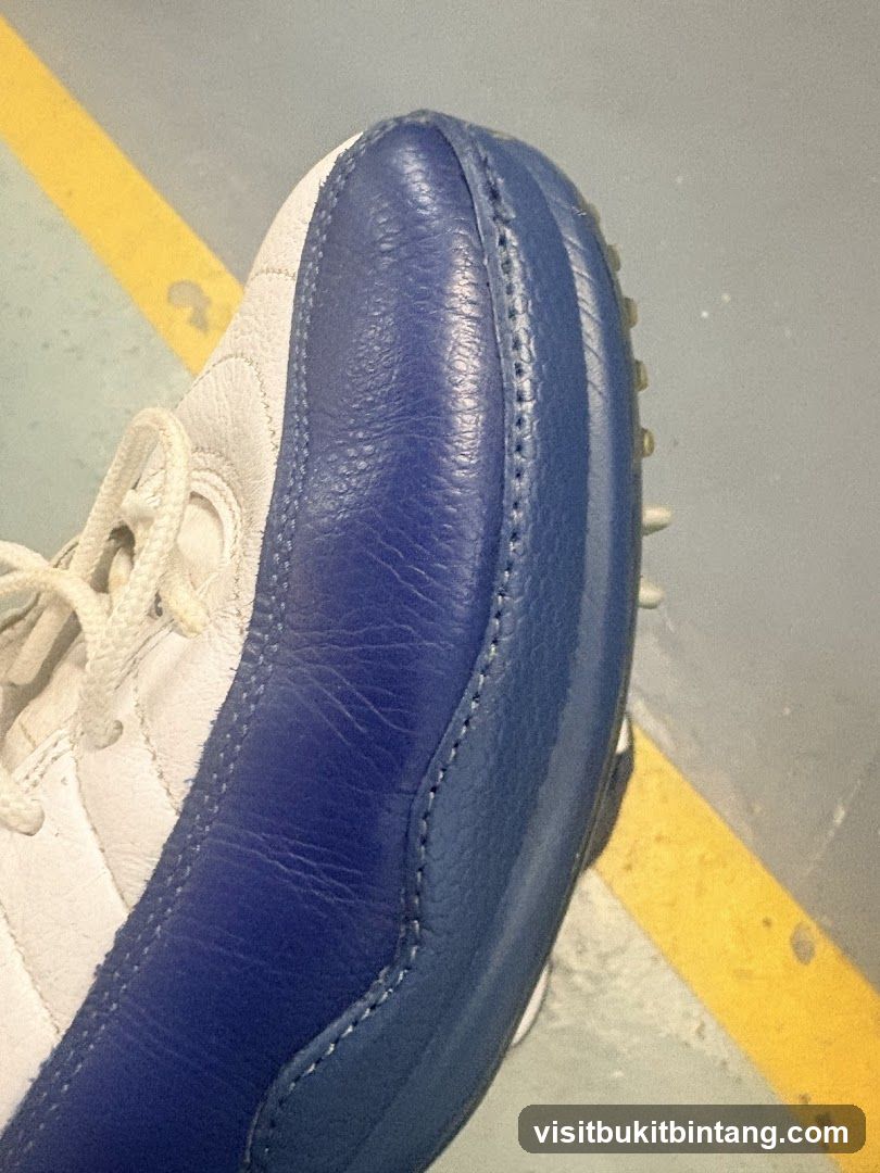 Blue and White Sneaker