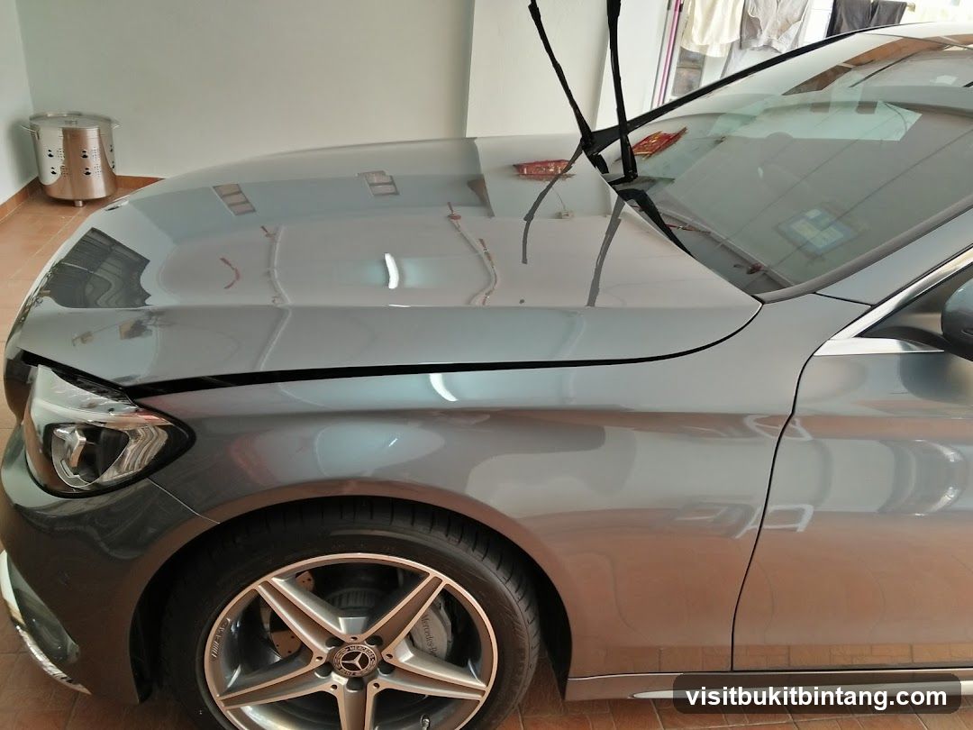 Car Hood and Windshield