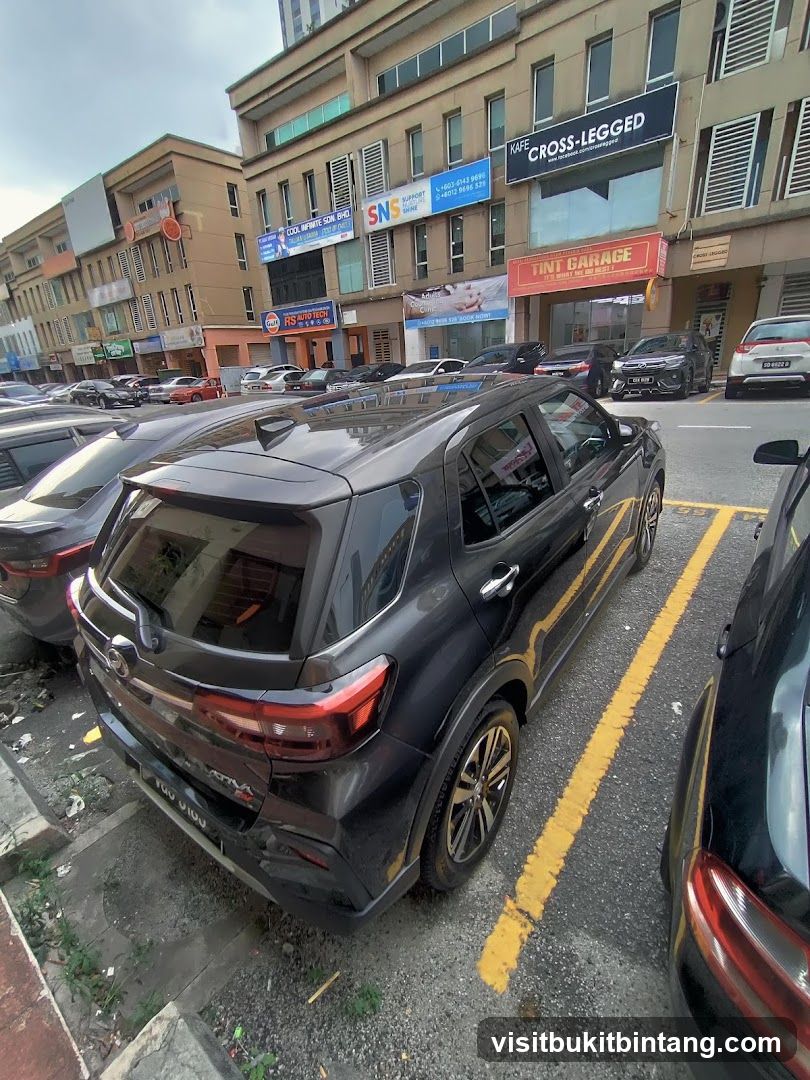 Street View with Cars and Shops