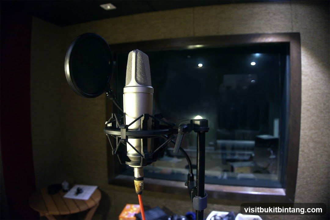 Recording Studio Microphone