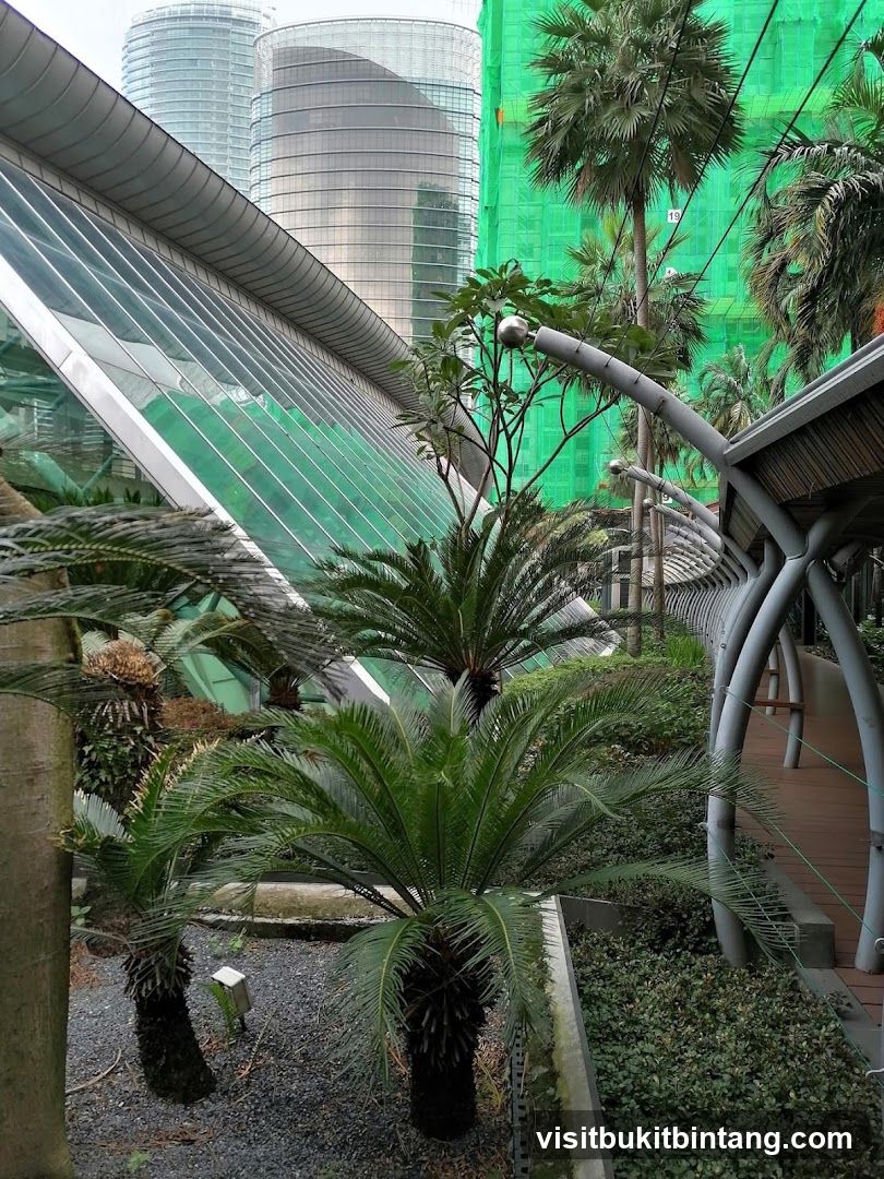 Modern Architecture and Tropical Plants