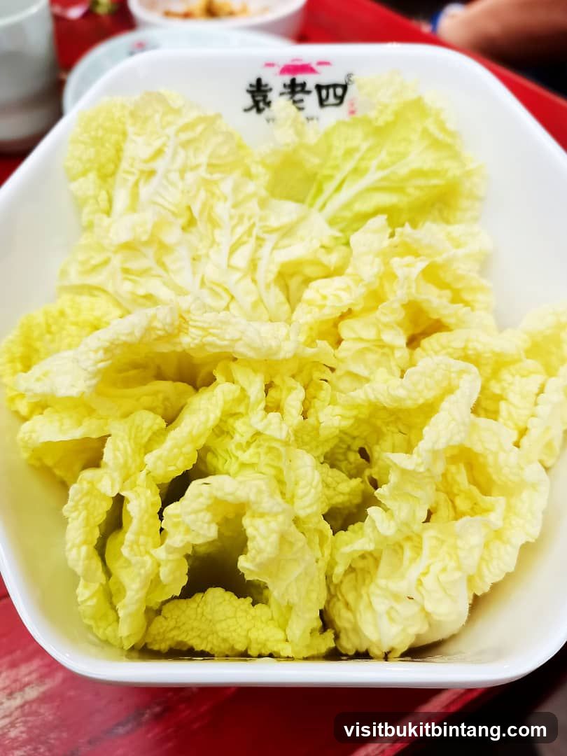 Napa Cabbage