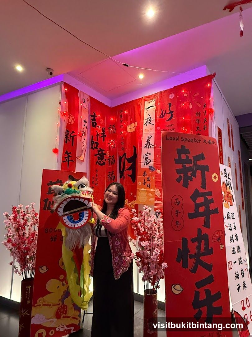 Chinese New Year Decorations
