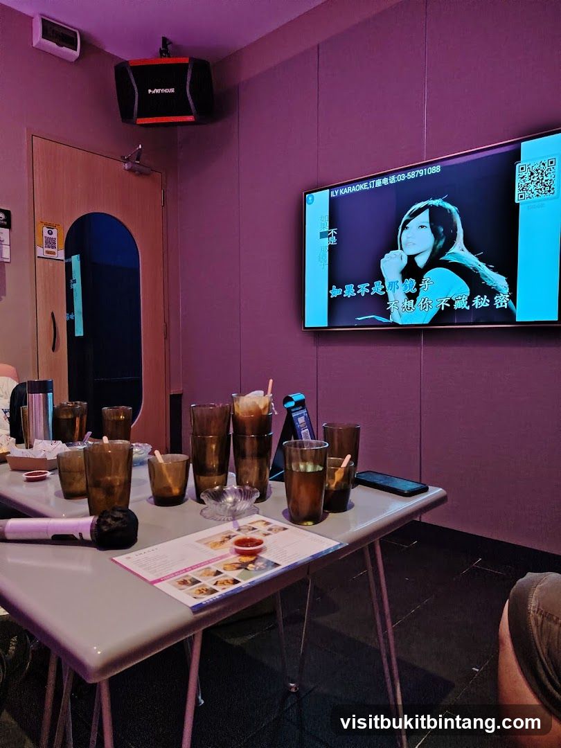Karaoke Room with Drinks and Menu