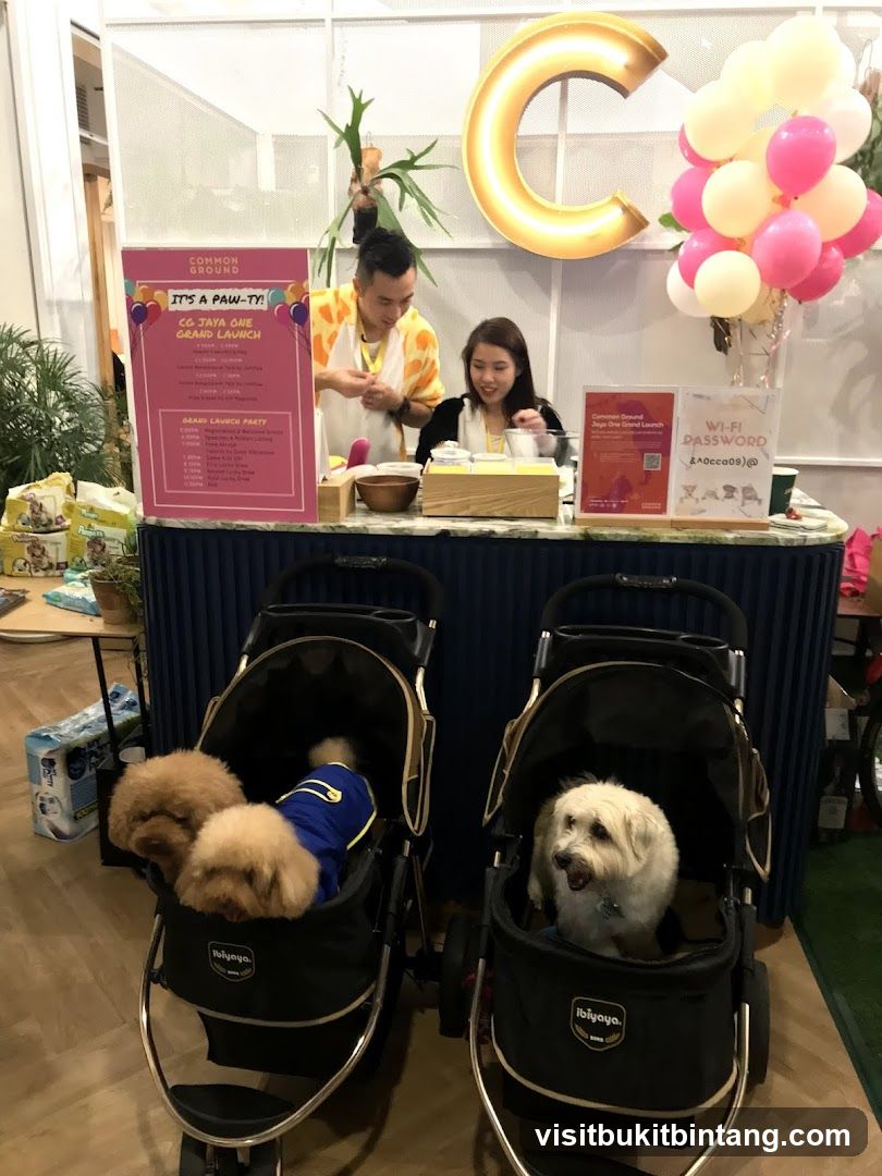 Grand Launch Event