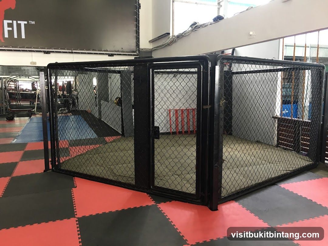 MMA Cage