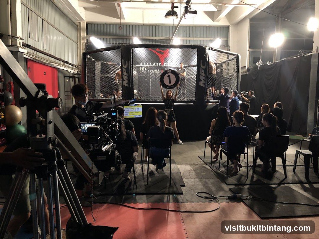 MMA ring setup
