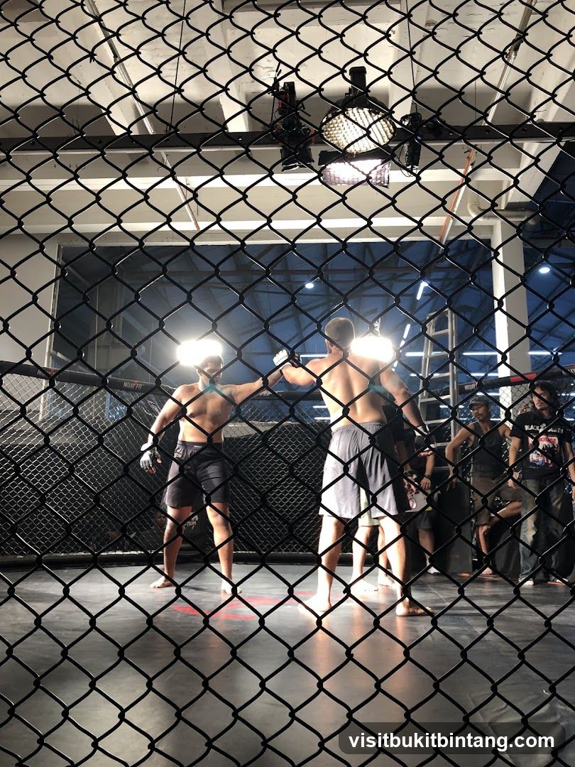 MMA fighters in ring