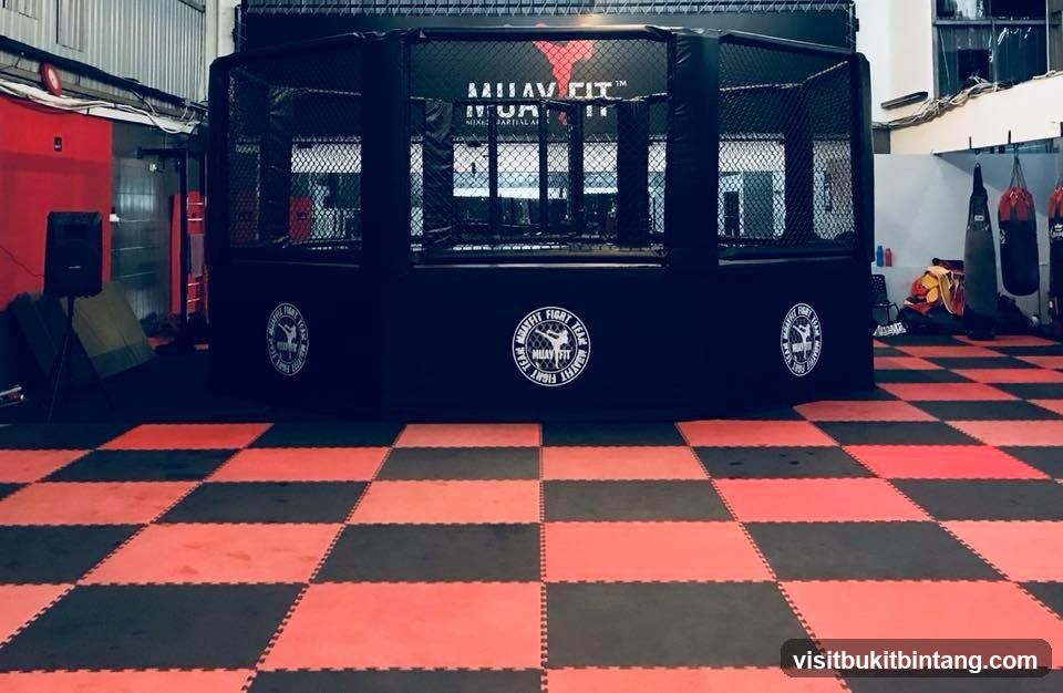 MMA Cage and Training Area