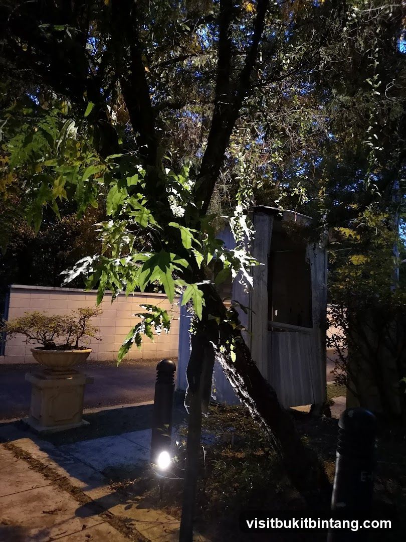 Outdoor structure at night