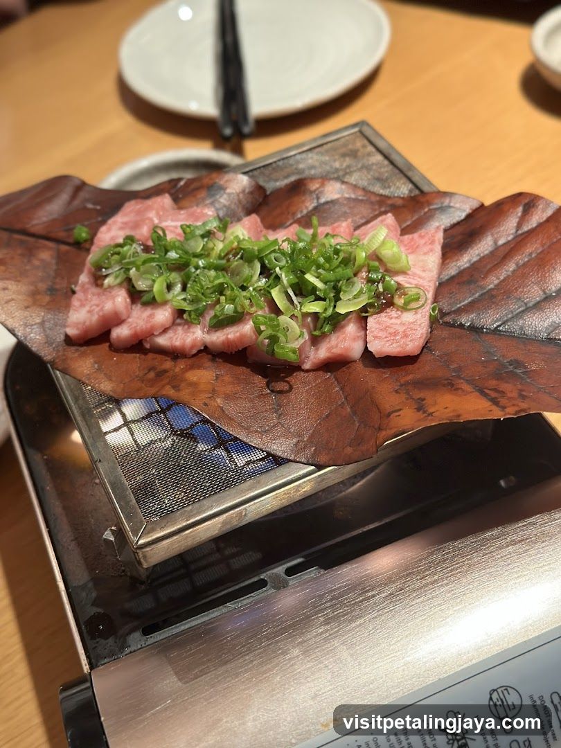 Grilled Meat with Scallions