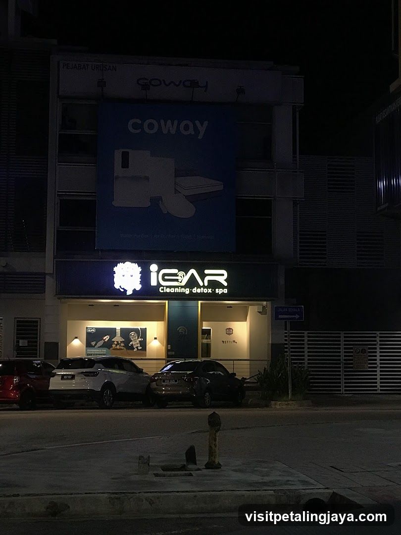 iEar Cleaning Kota Damansara 中华养生