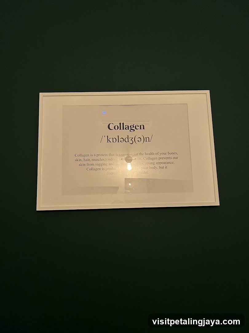 Collagen Information Card