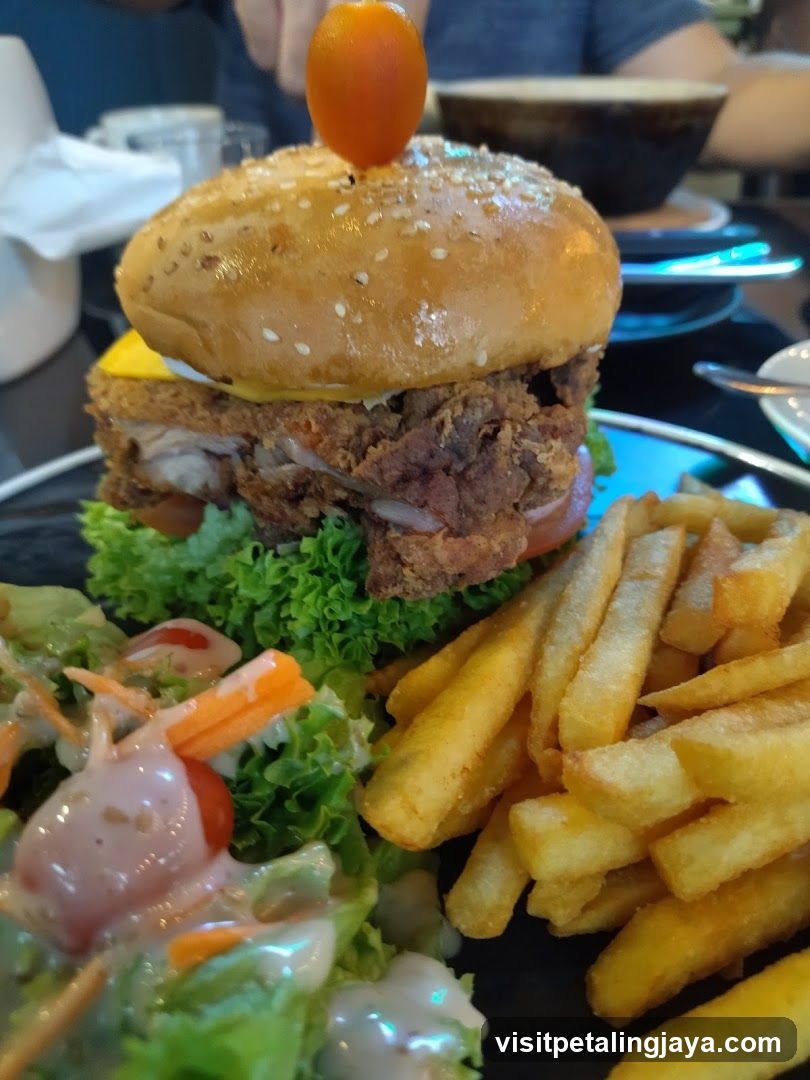 Fried Chicken Burger with Fries and Salad