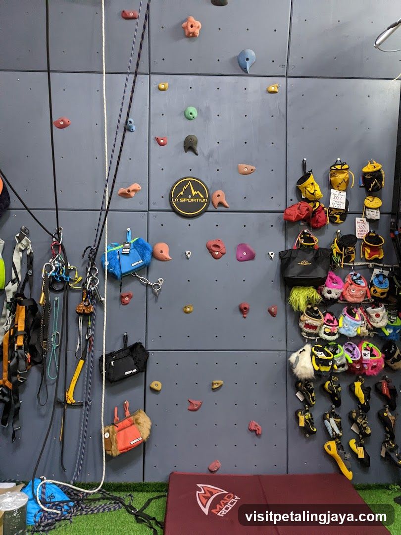 Indoor Climbing Wall Shop Interior