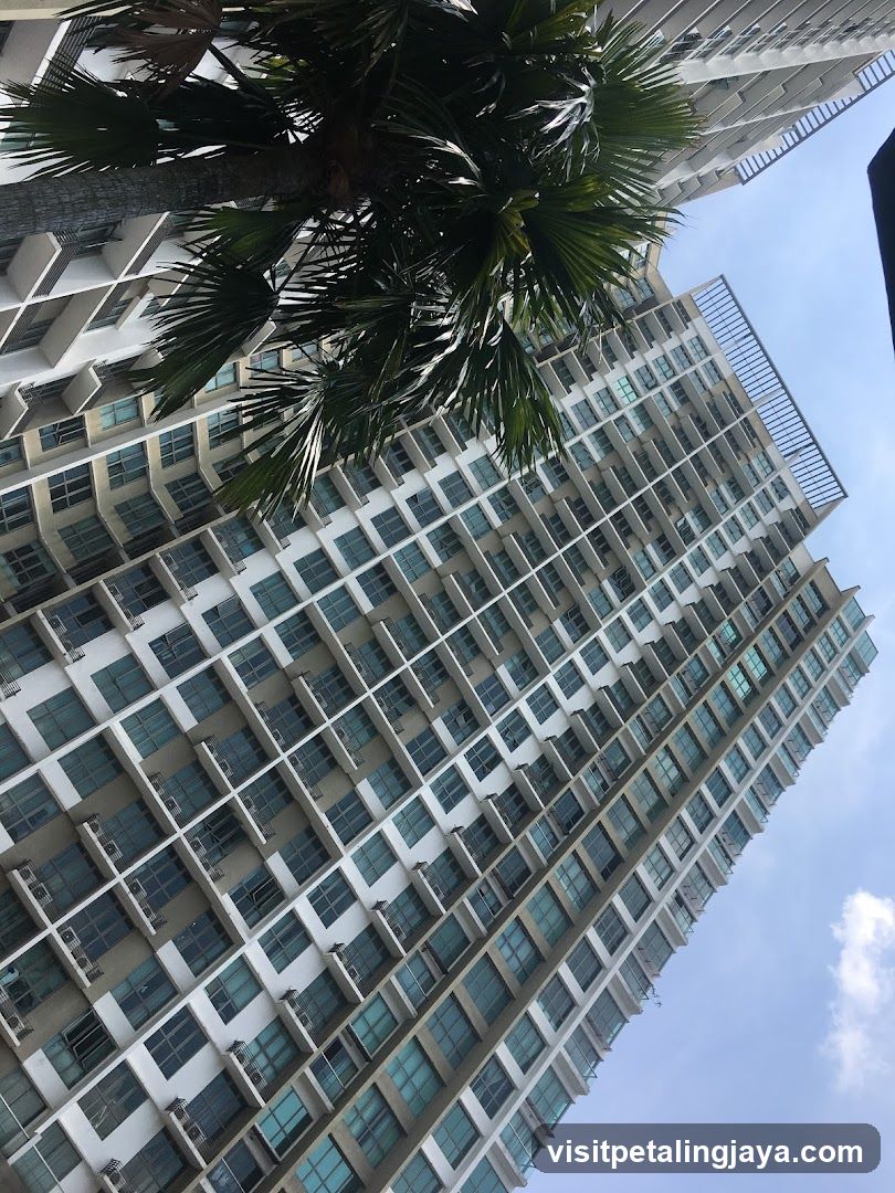 Tall Residential Building with Palm Tree