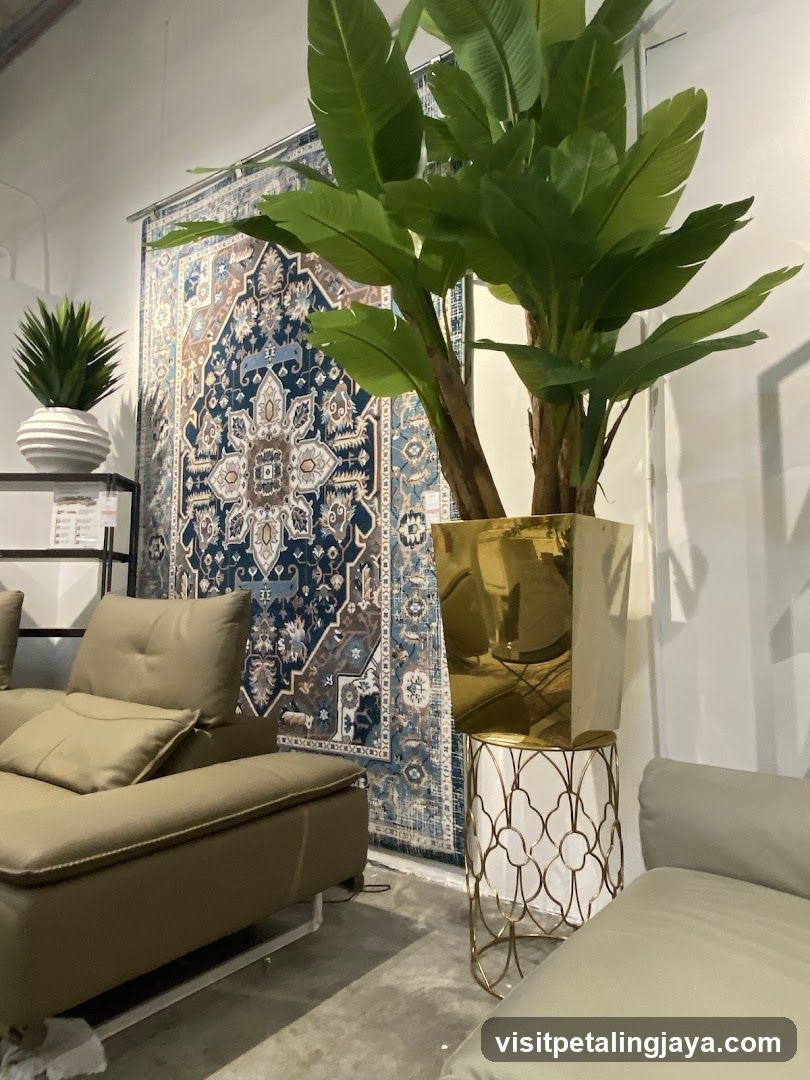 Interior Furniture Display