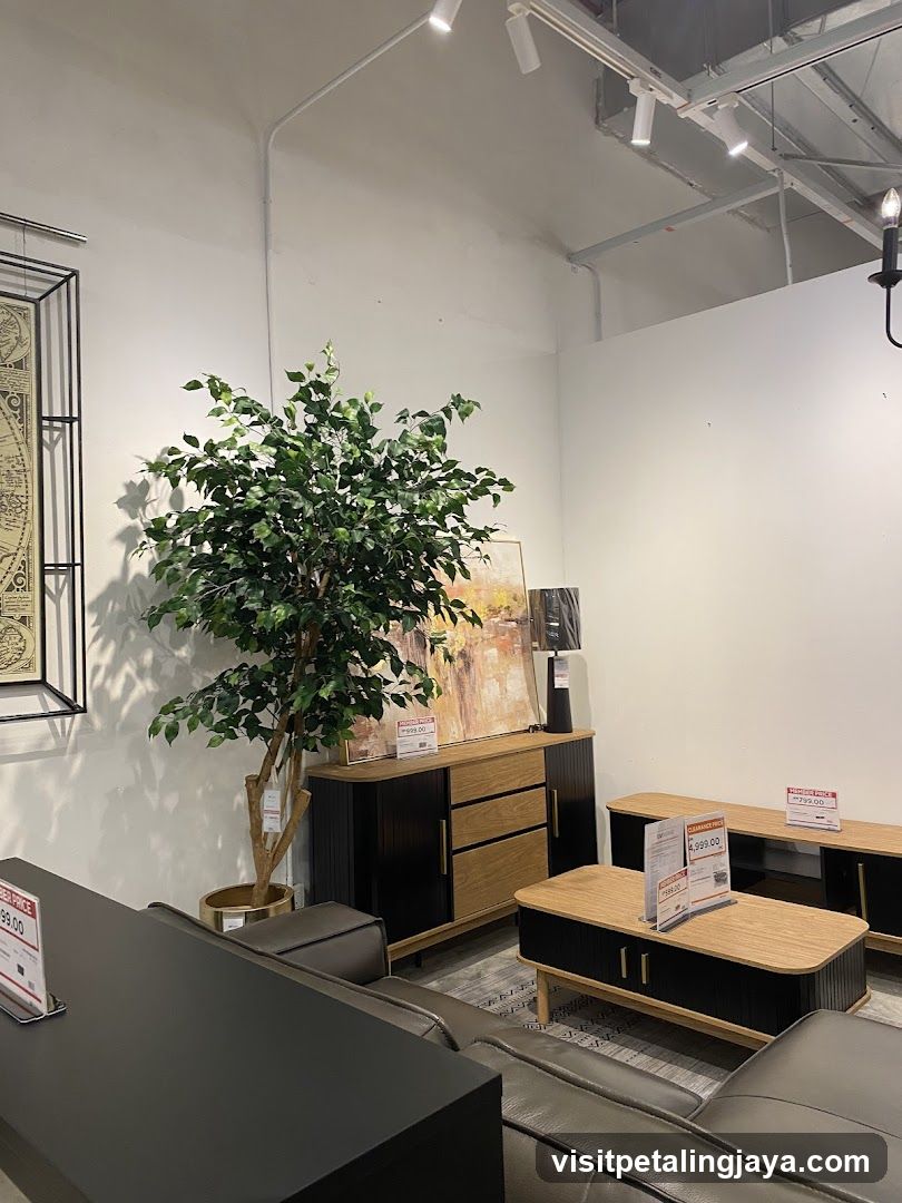 Furniture Store Interior Display