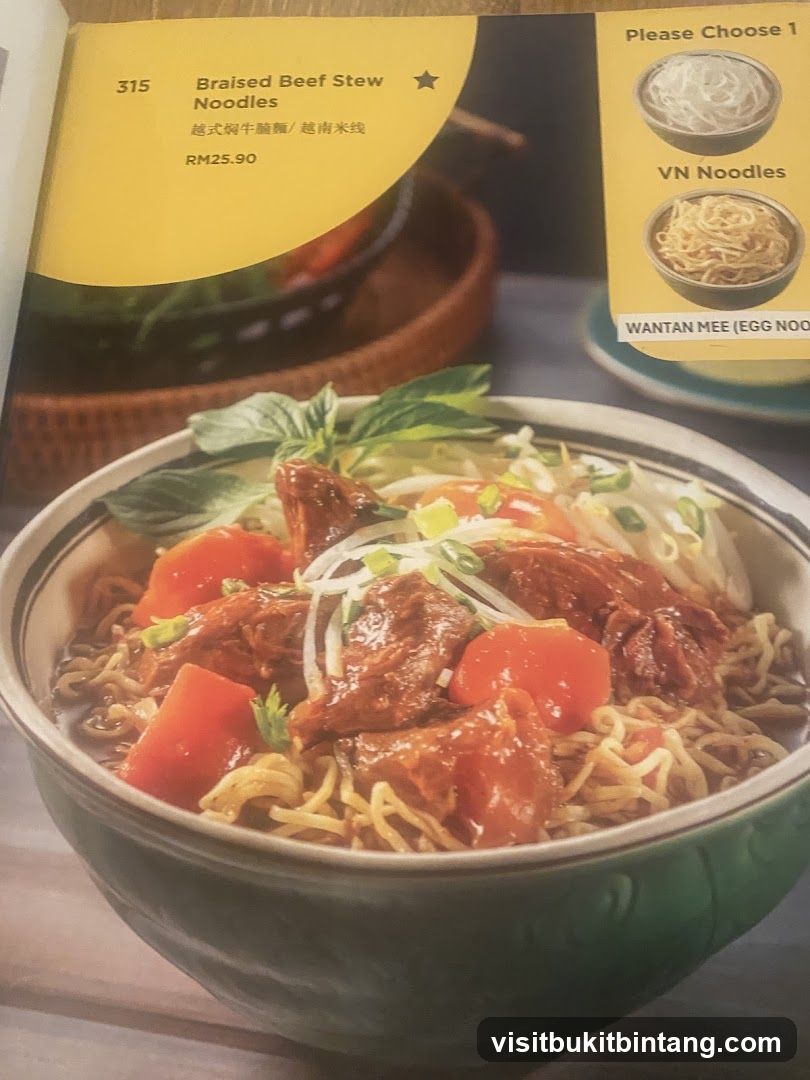 Braised Beef Stew Noodles