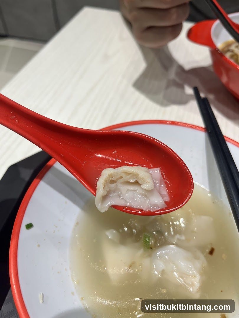 Wonton Soup