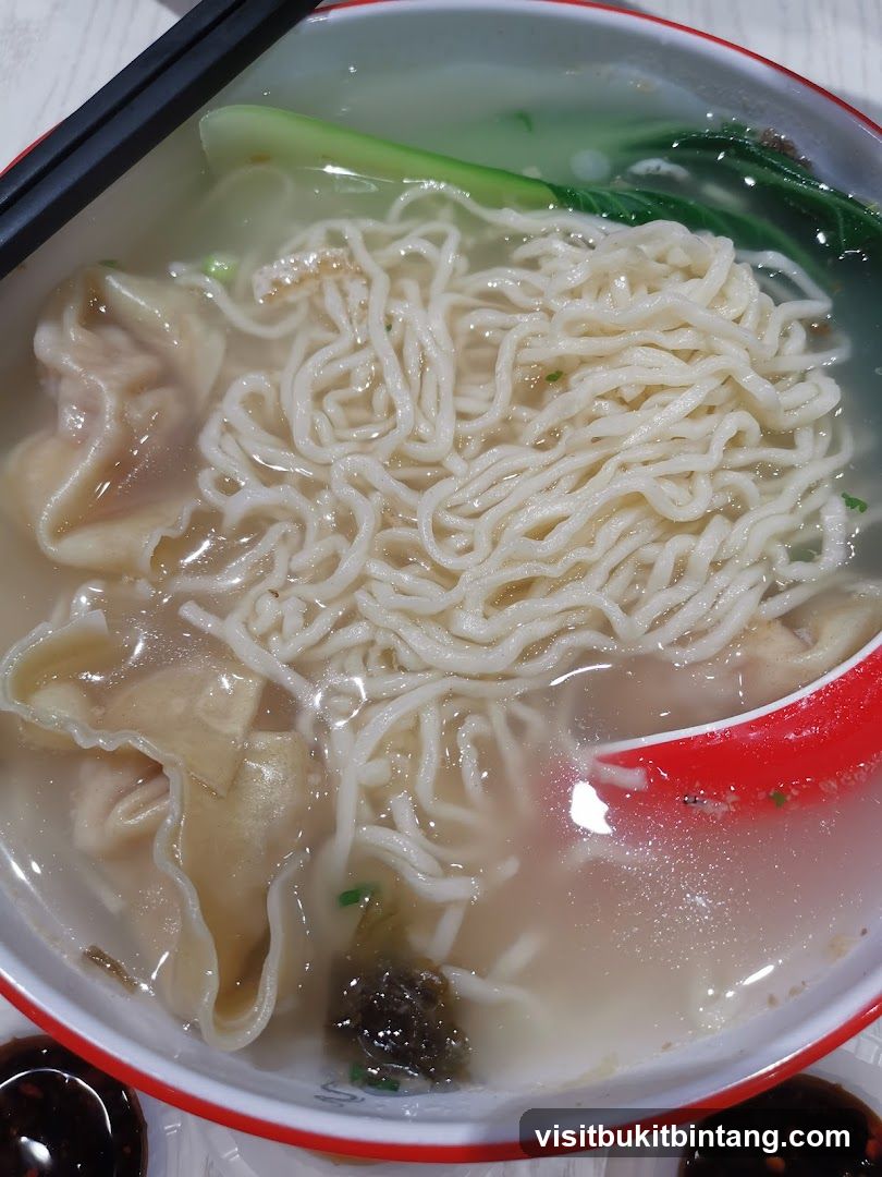 Wonton Noodle Soup