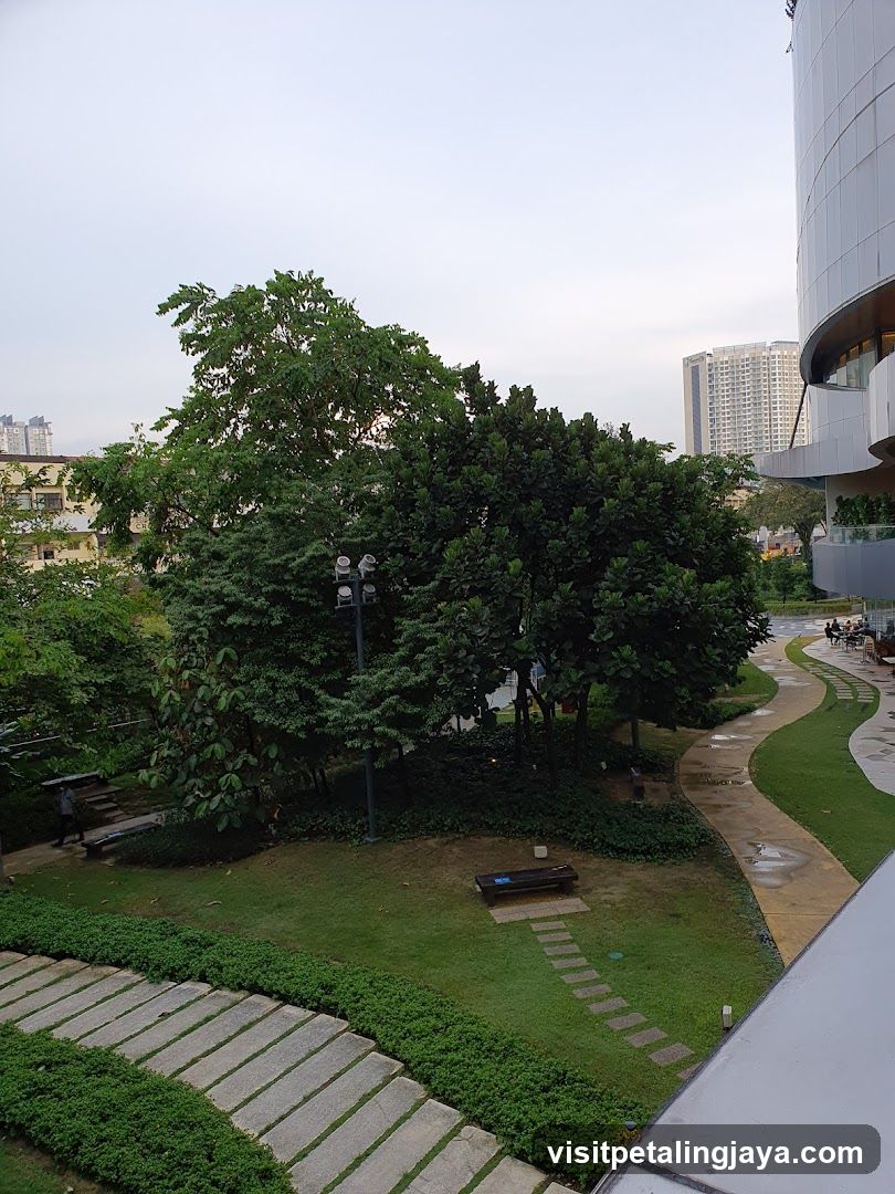Urban Park View