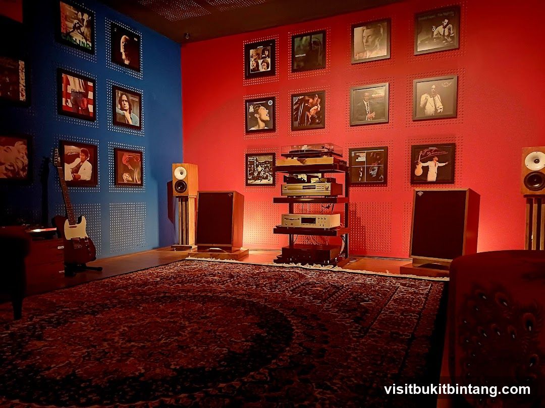 Music Room with Vinyl Records and Audio Equipment