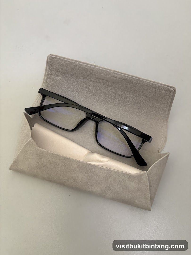 Eyeglasses in a case