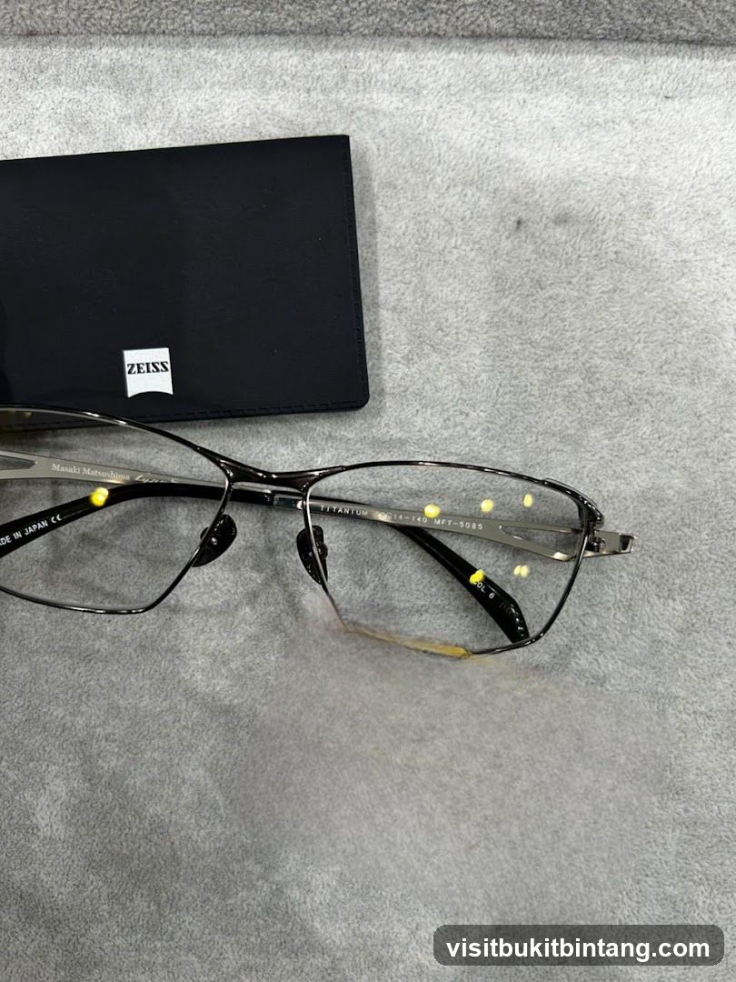 Eyeglasses and Case