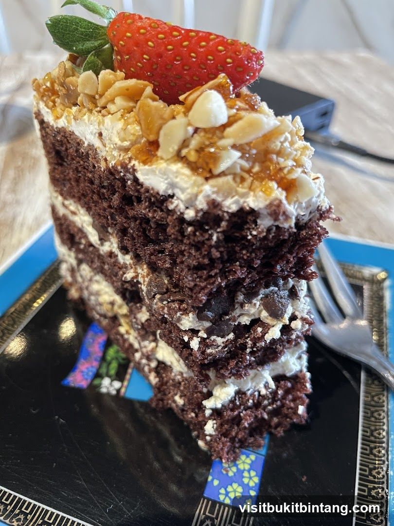 Chocolate Cake Slice