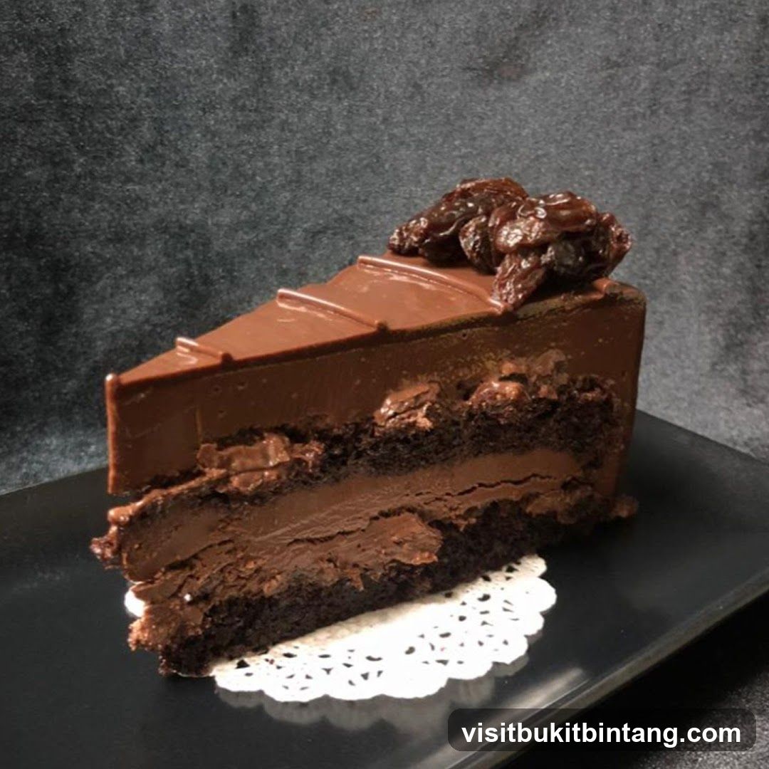Chocolate Cake Slice