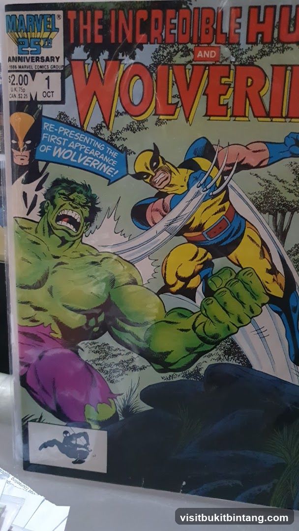 The Incredible Hulk and Wolverine Comic Book