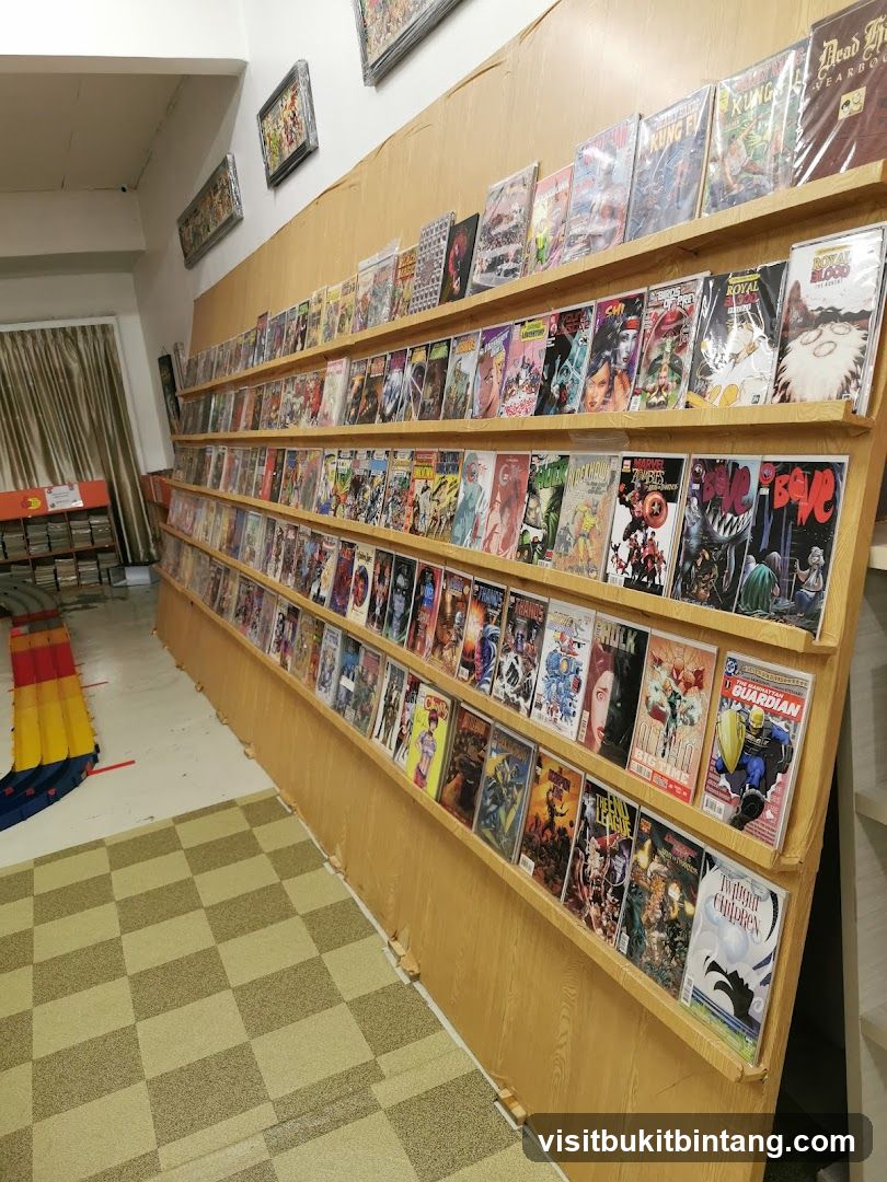 Comic Book Store Shelving