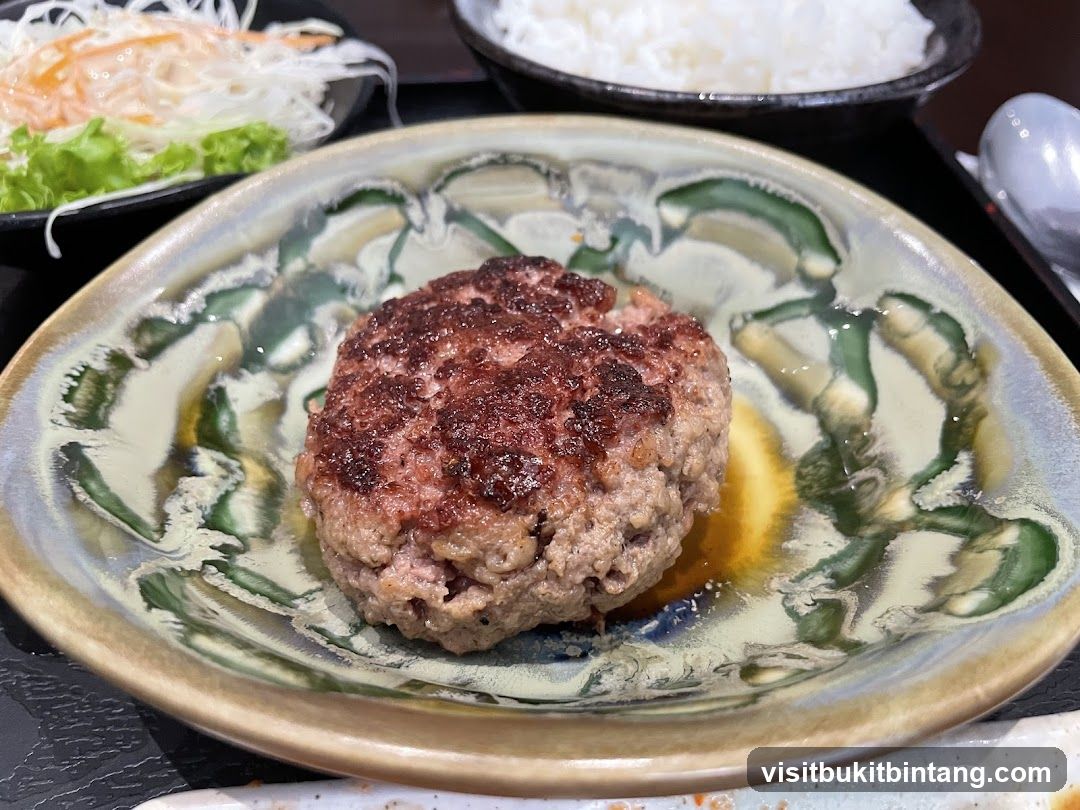 Hamburger steak with rice and salad